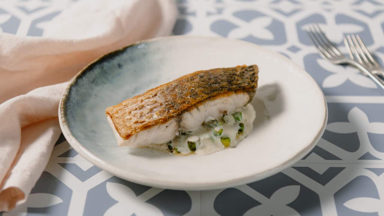 Pan-fried fish with asparagus, fennel & ginger foam