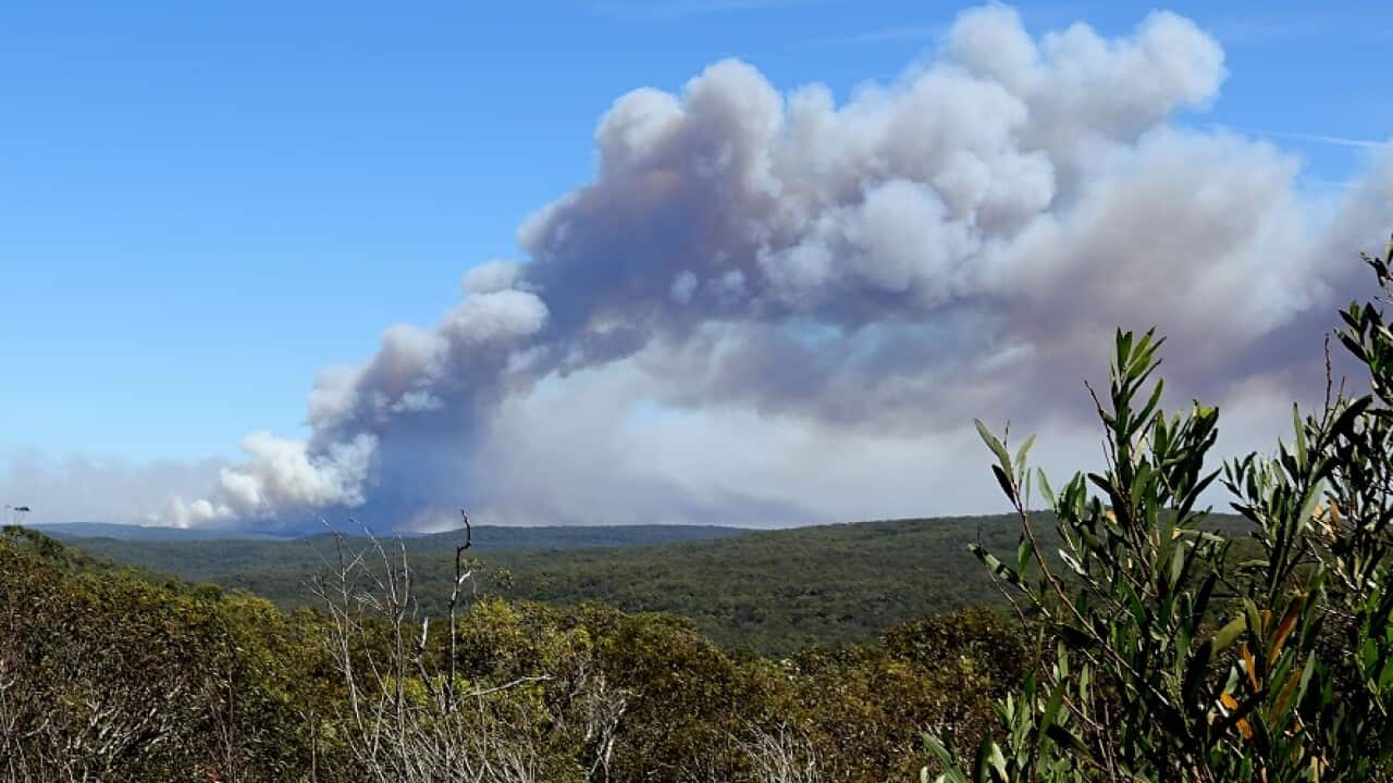 Hundreds of hikers and tourists had to be rescued by boat after a fire tore through the Royal National Park. The park has been closed for two days. 