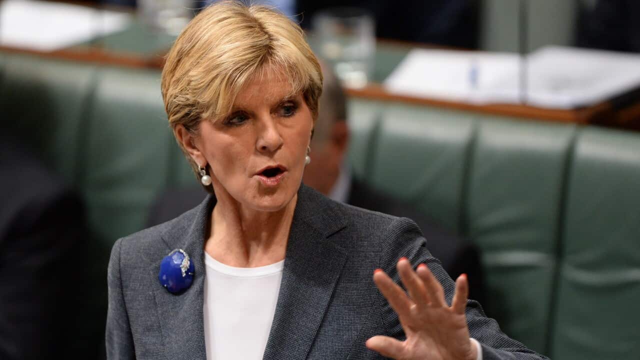 Foreign Minister Julie Bishop1.jpg