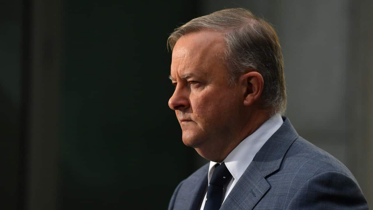 Leader of the Opposition Anthony Albanese at a press conference at Parliament House in Canberra.