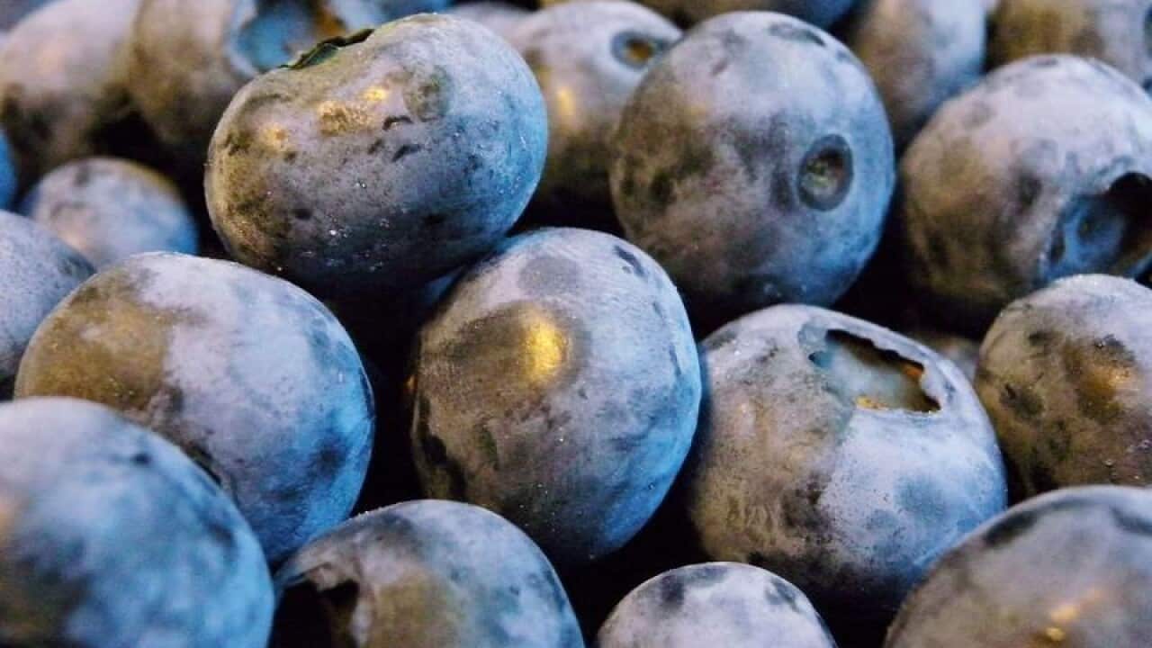 A bunch of blueberries