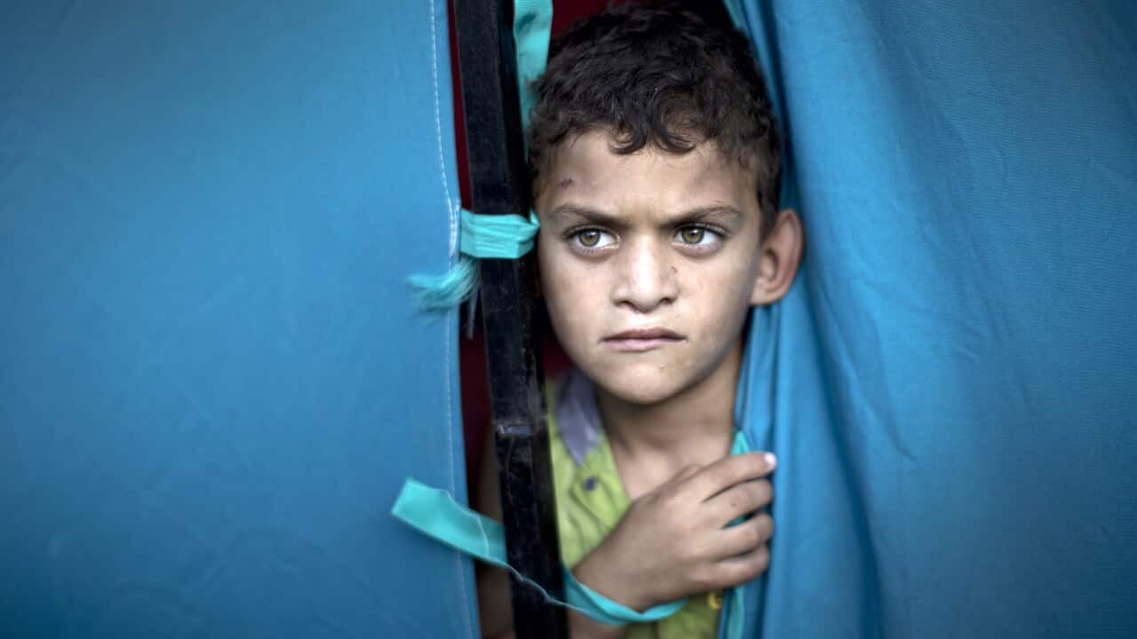 Displaced Palestinian boy at al-Shifa hospital in Gaza City