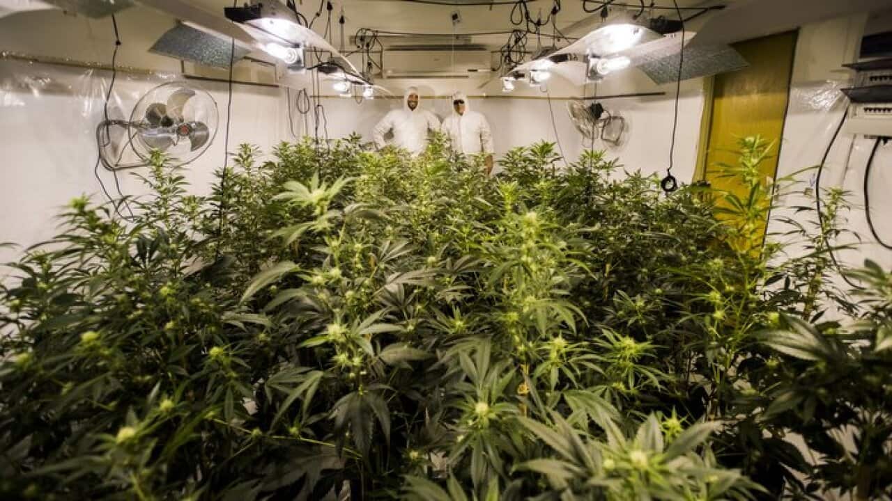 Image for read more article 'READ MORE'