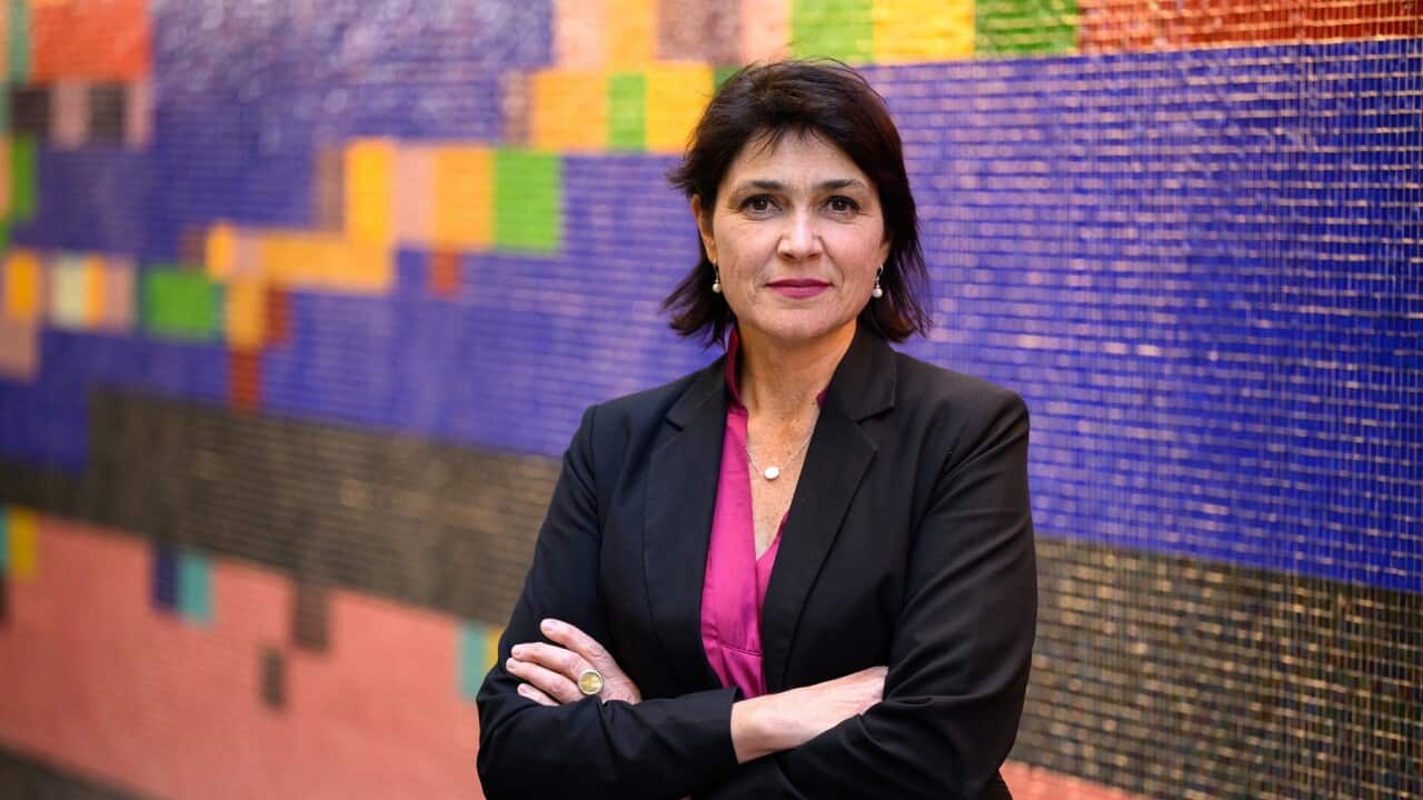 SEX DISCRIMINATION COMMISSIONER DR ANNA CODY