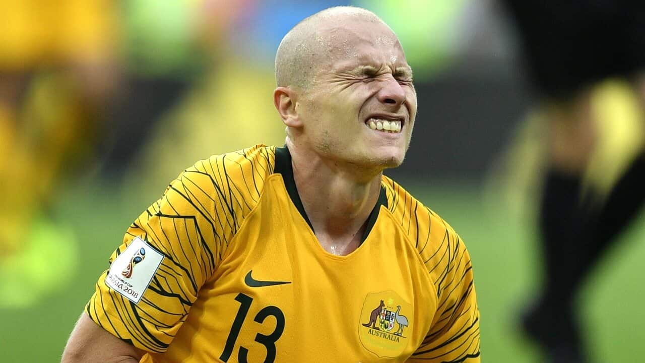 Mooy