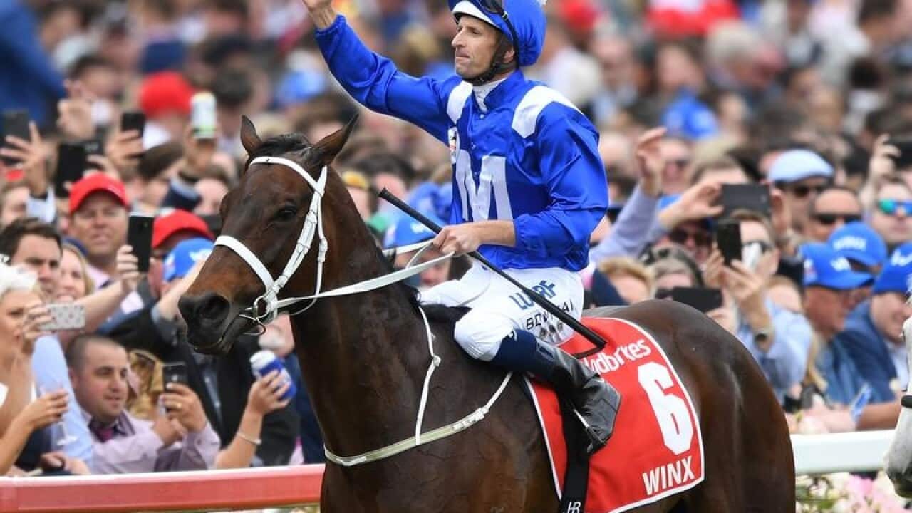 Jockey Hugh Bowman reacts after riding Winx.