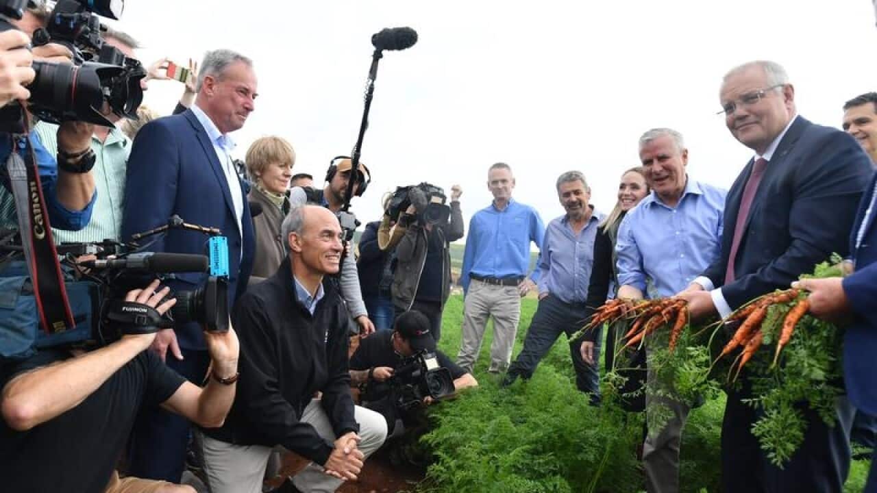 Prime Minister Scott Morrison at a farm in Tasmania.