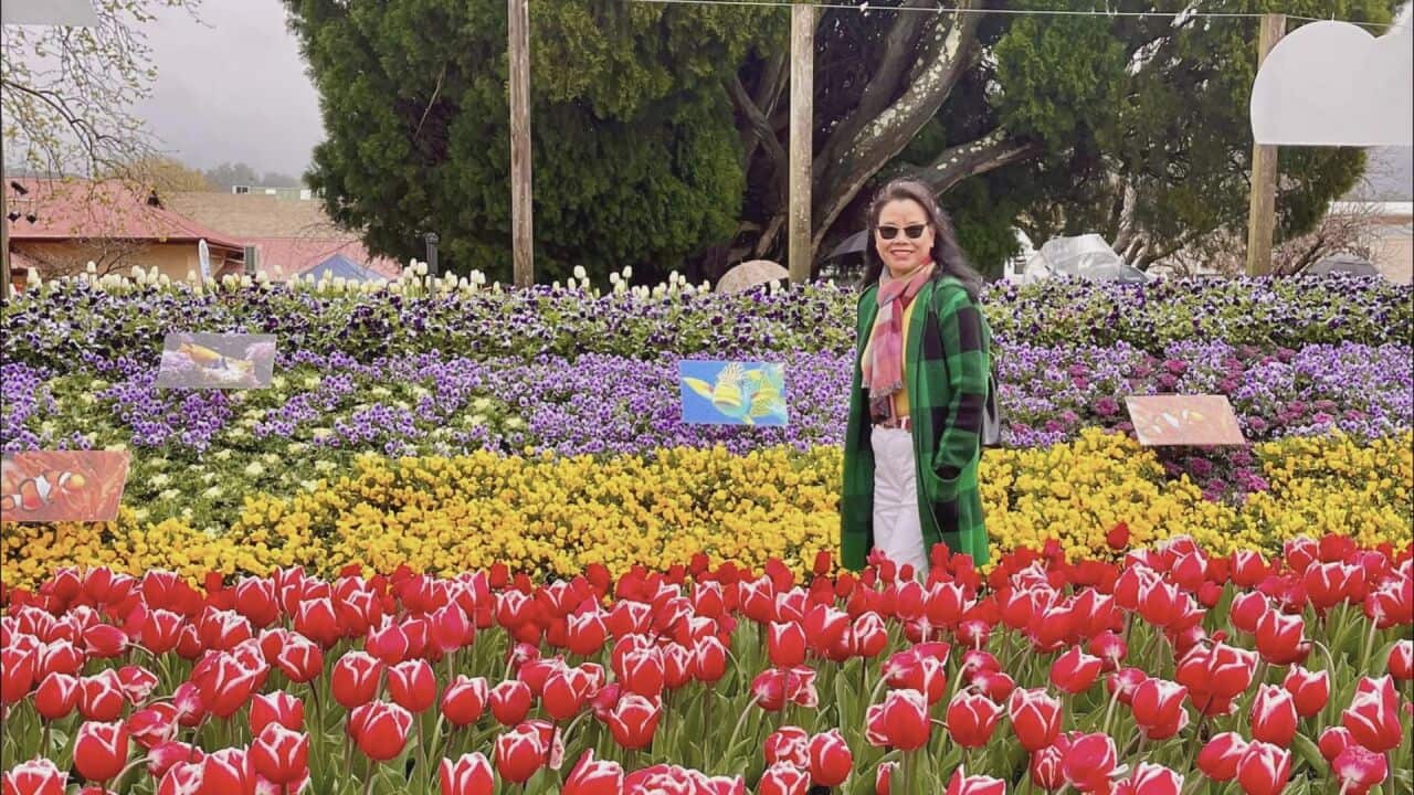 Image for read more article ''