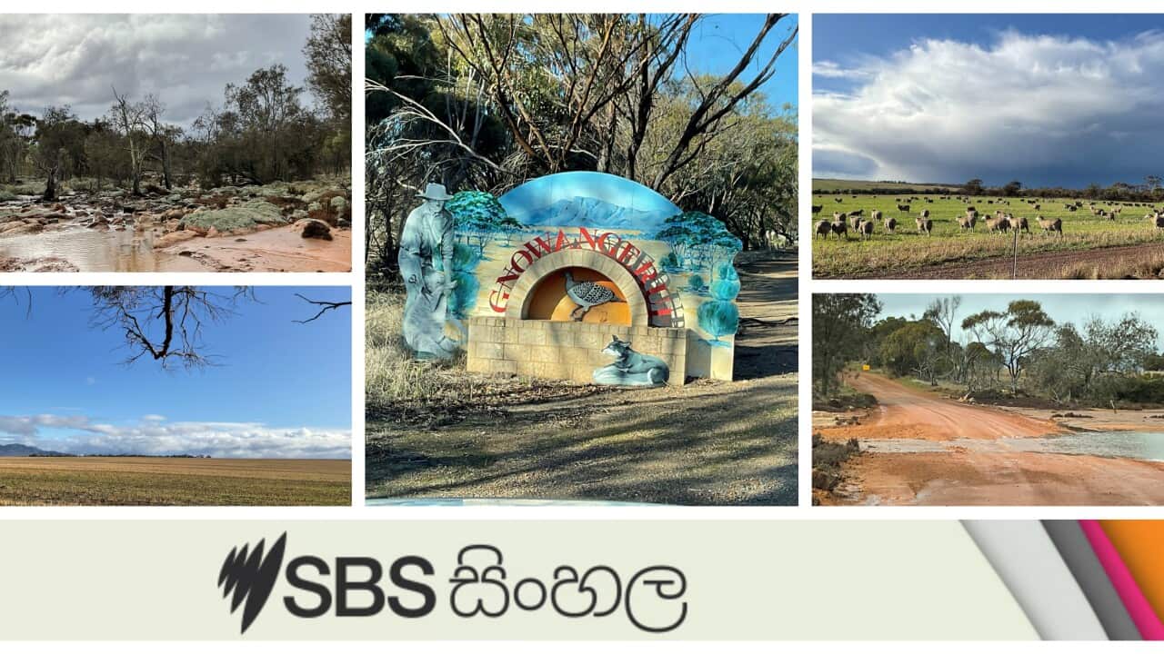 Gnowangerup and Bluff Knoll in Western Australia
