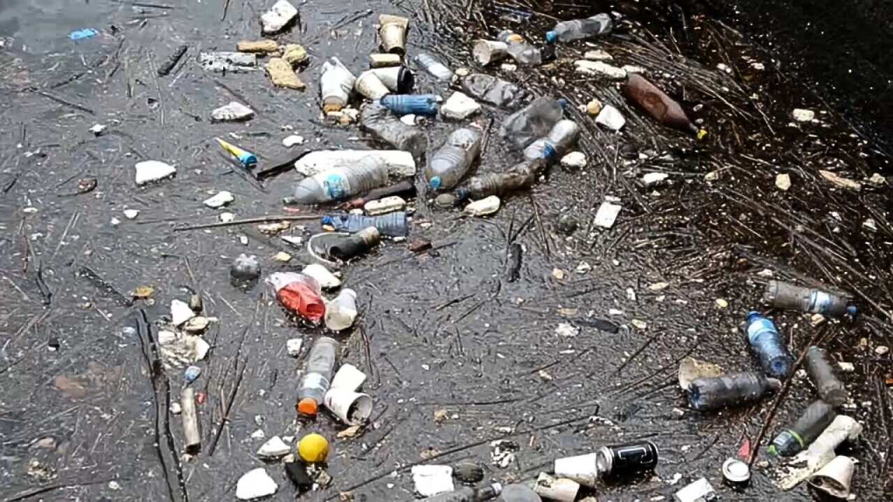 Yüzen plastik atık (SBS).jpg