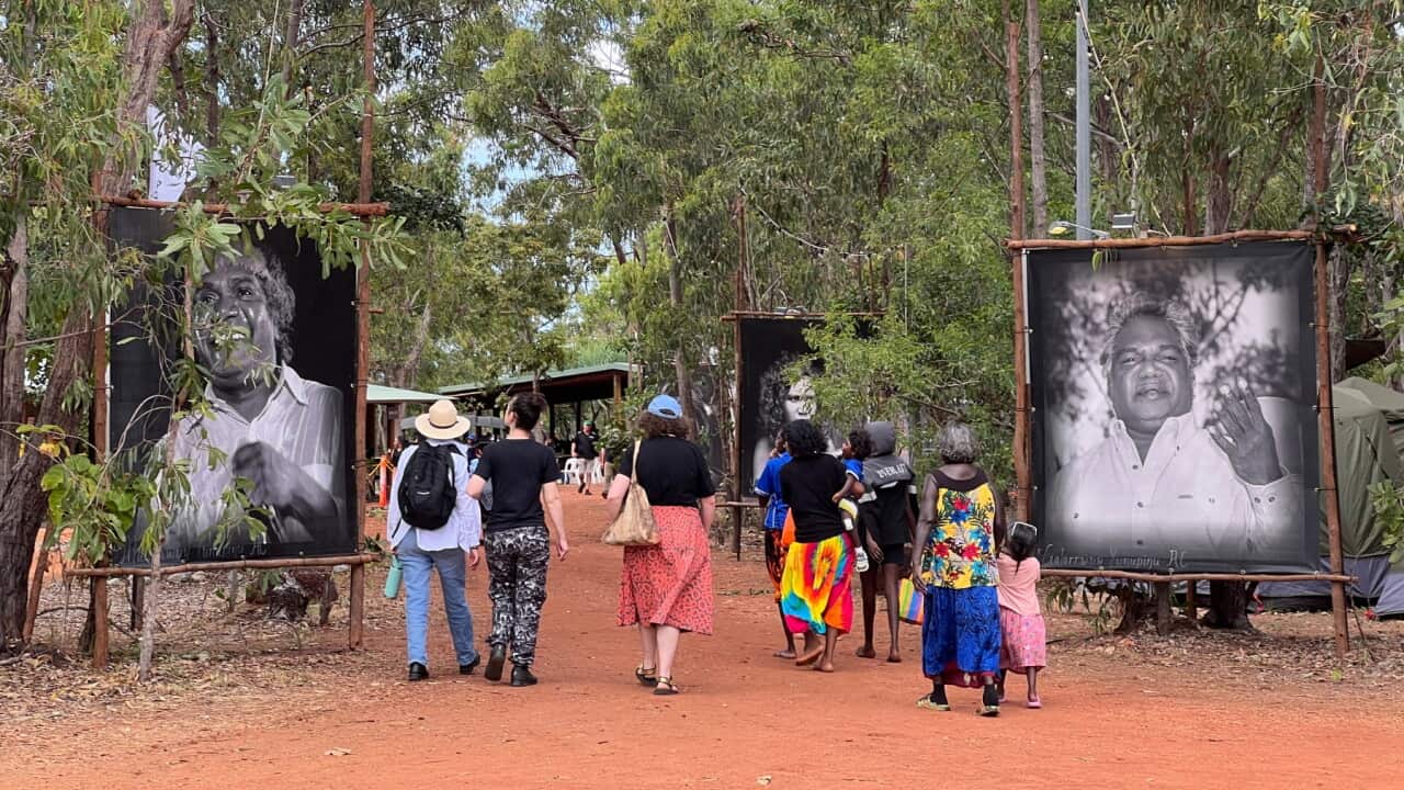 Garma Festival is Australia's largest Indigenous cultural gathering.