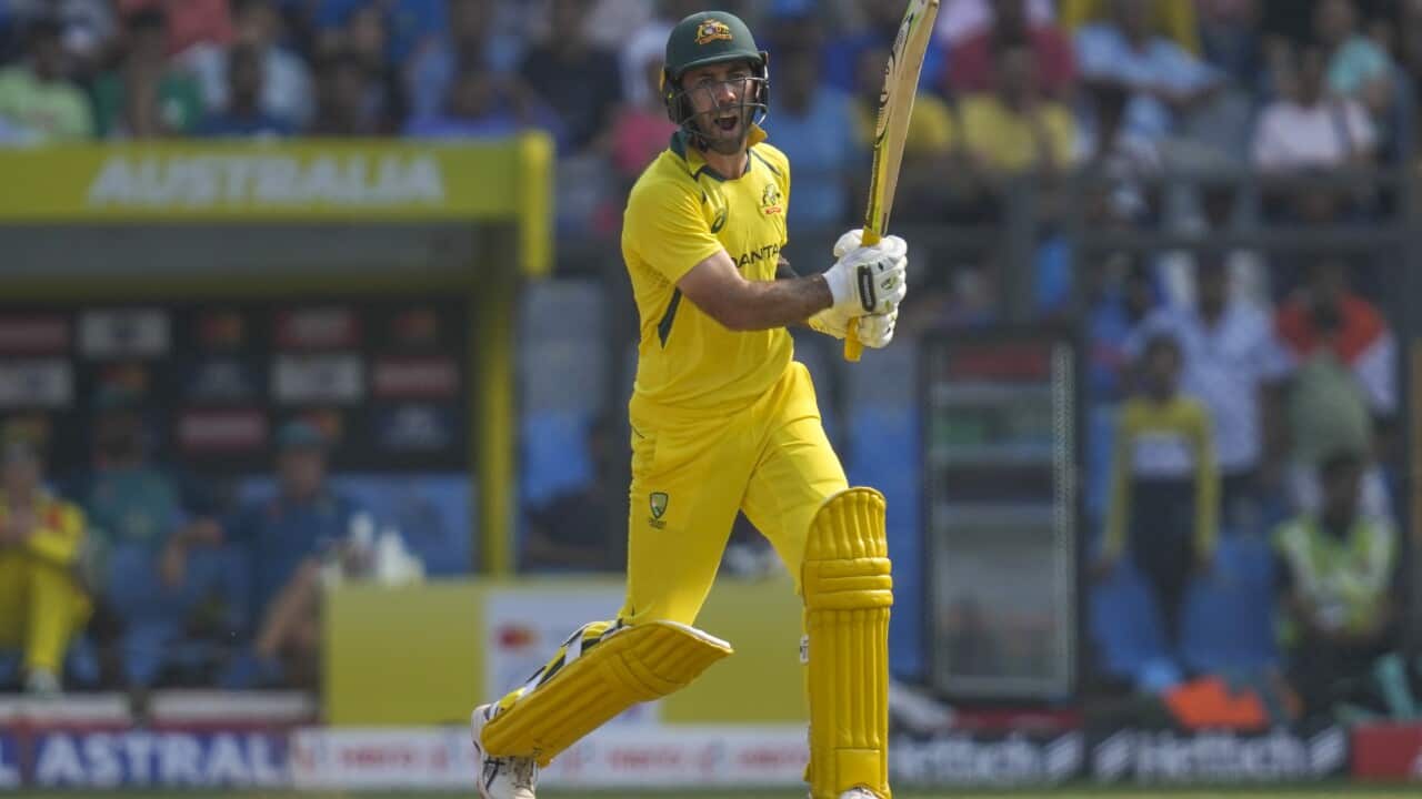 Australia's Glenn Maxwell