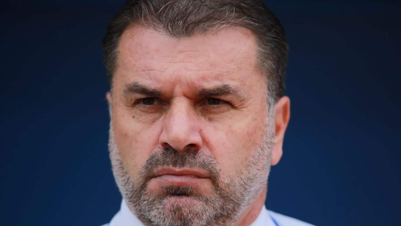 Ange Postecoglou