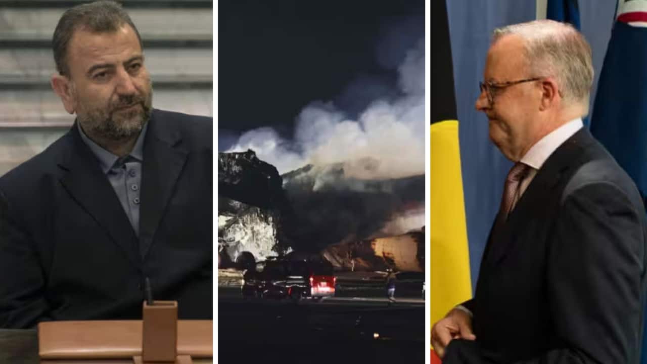 News Triptych (1).png