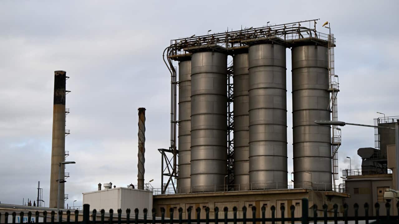 ANTHONY ALBANESE VIVA ENERGY REFINERY VISIT