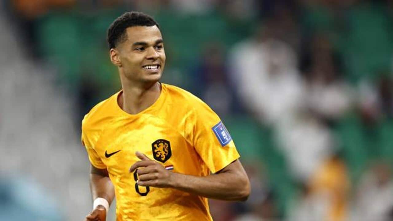 Cody Gakpo of Holland during the FIFA World Cup Qatar 2022.jpg