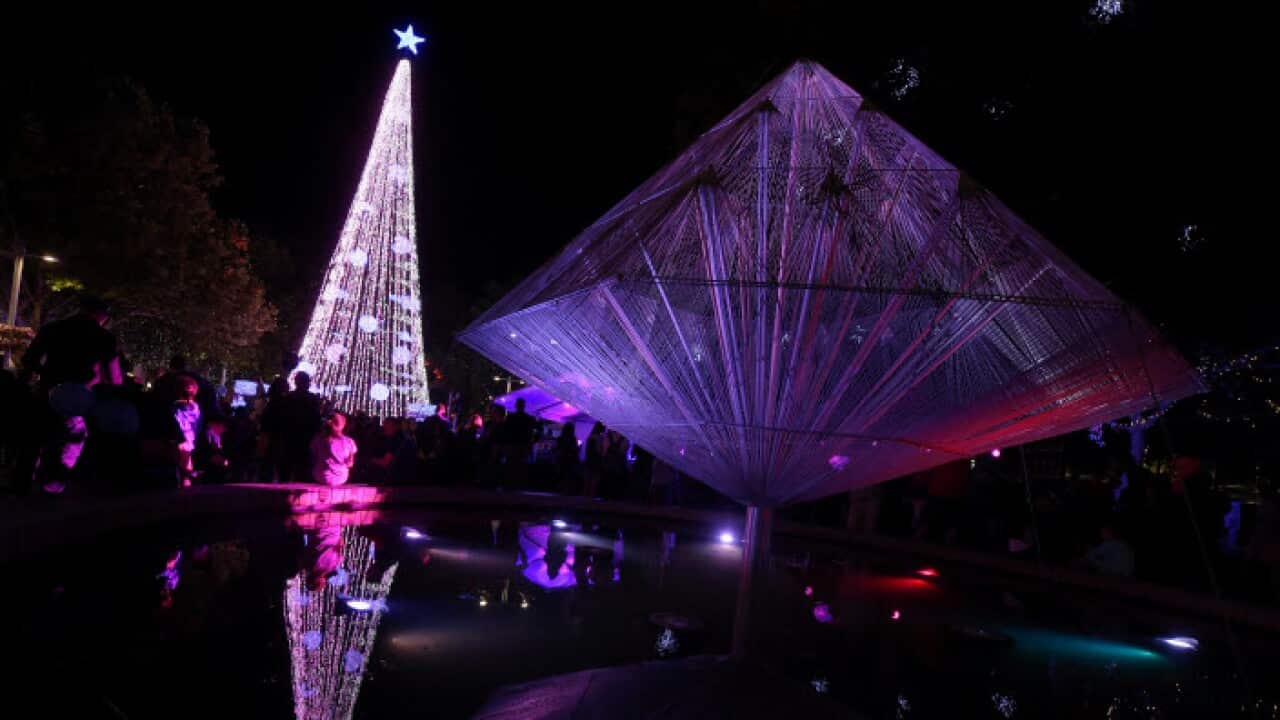 Christmas Tree in Canberra