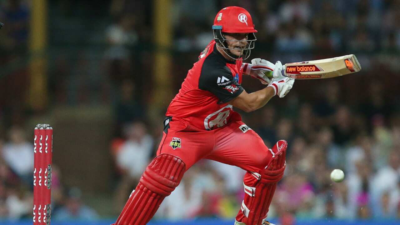 Aaron Finch of the Renegades