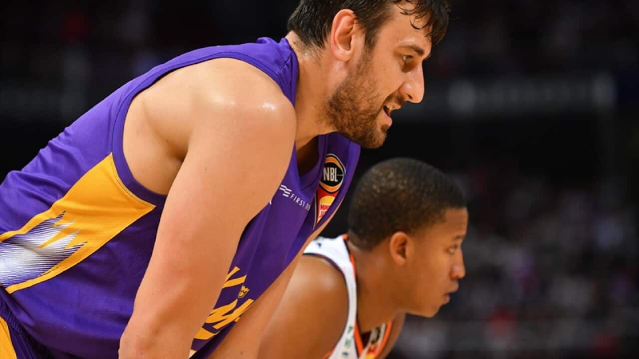 Andrew Bogut