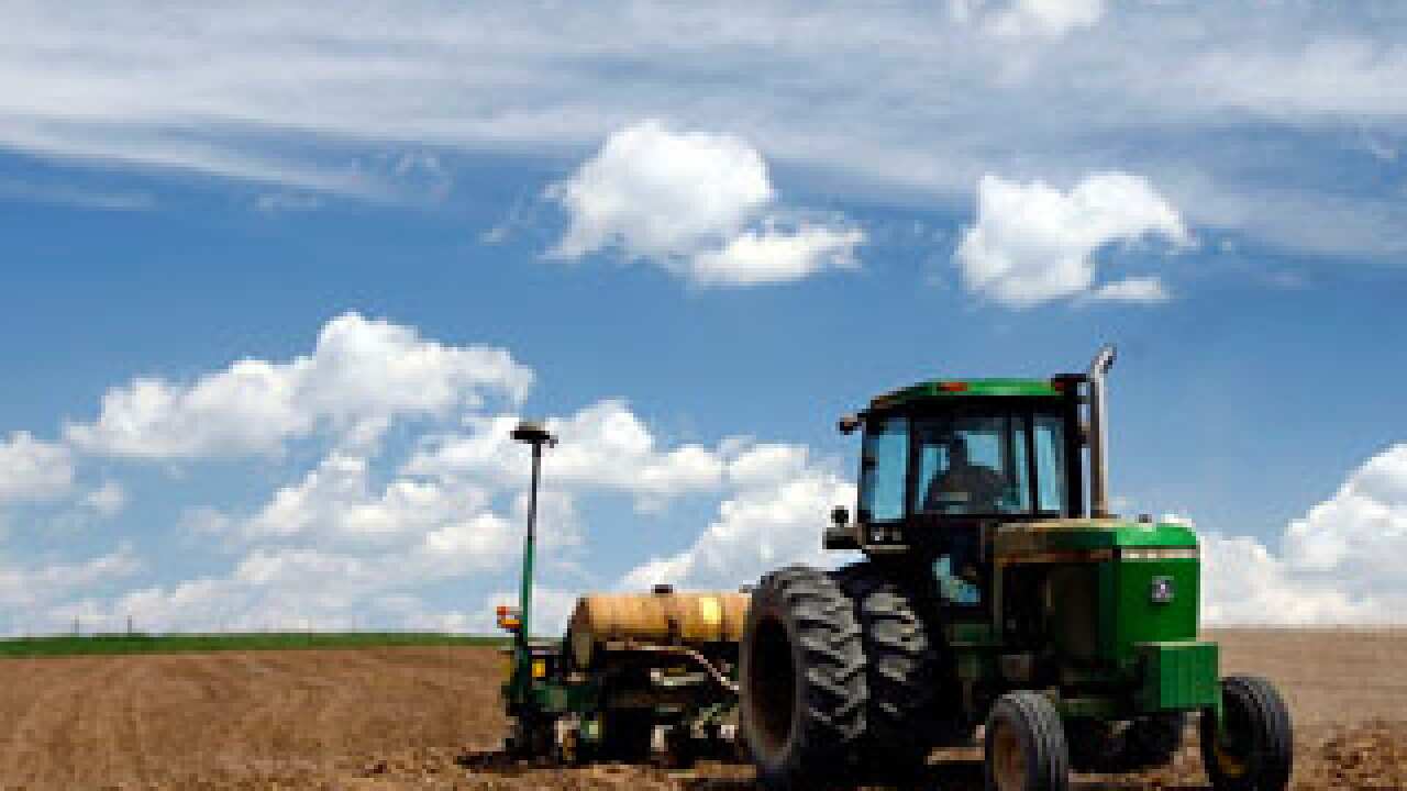 crops