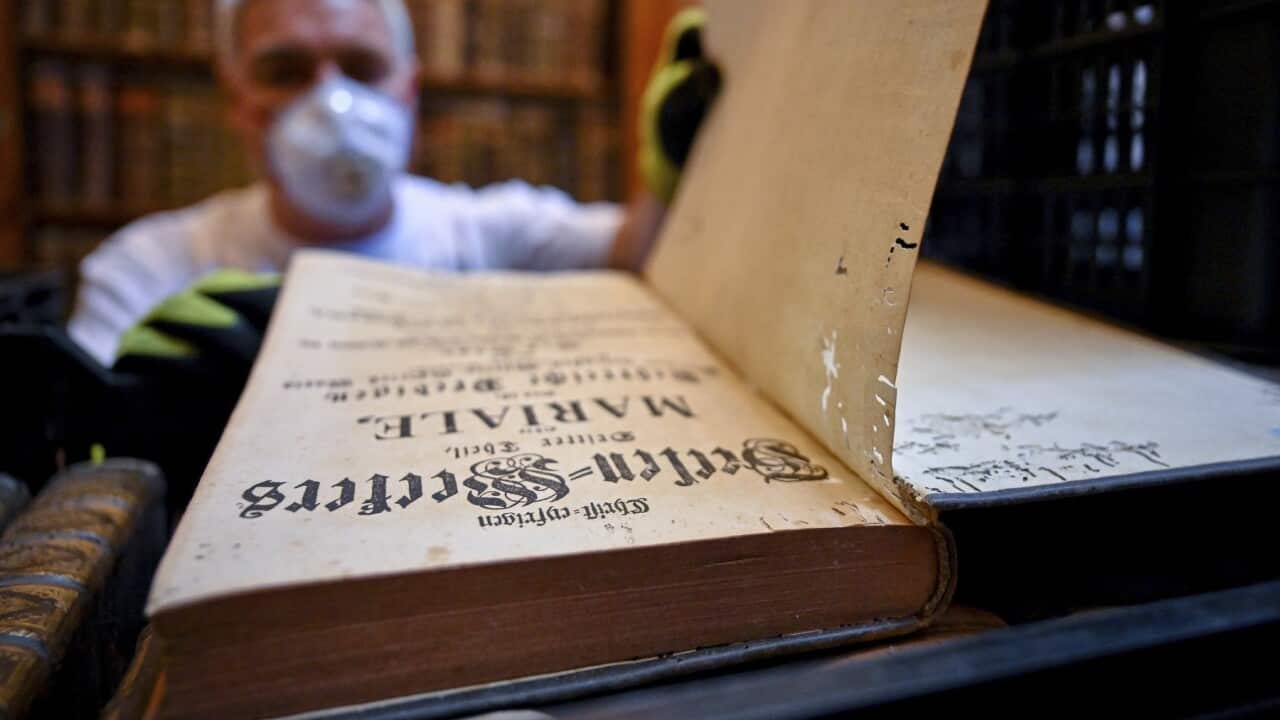 Hungary Medieval Library Infestation