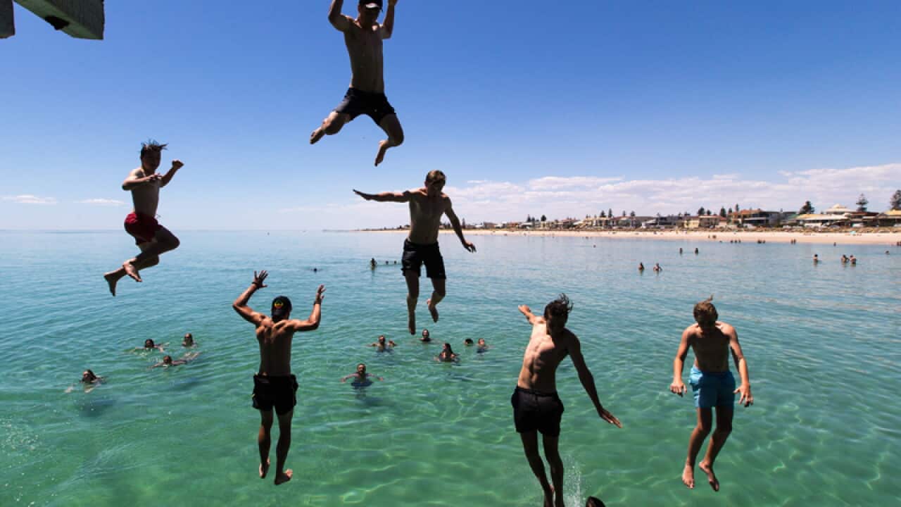 Jetty Jumpers escape the heat by cooling off at Henley Beach, Adelaide