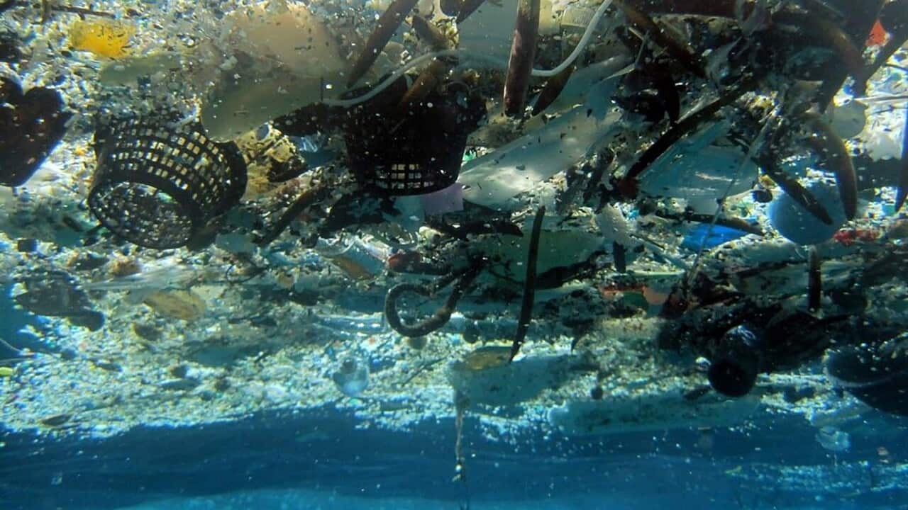 Rubbish including plastics in an ocean (AAP)