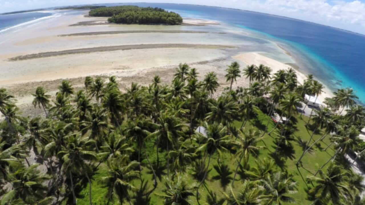 Land between the trees washing away due to continuing rising sea levels on Majuro Atoll, Marshall Islands