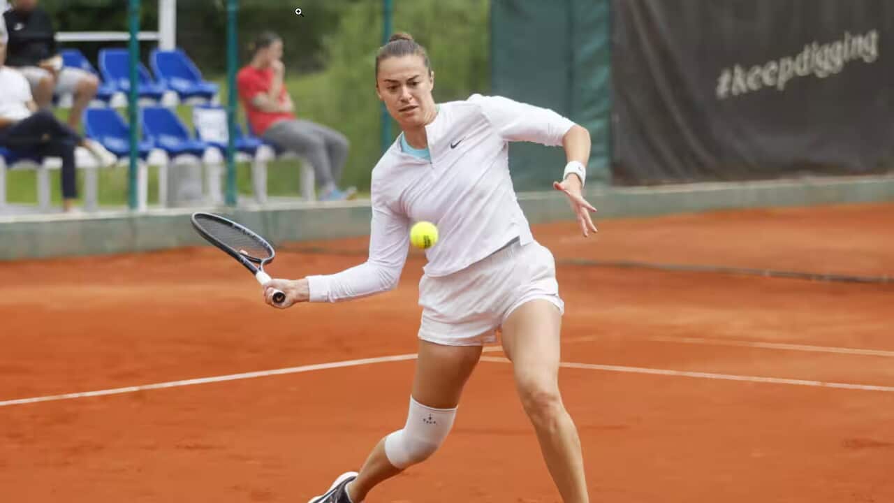 LINA NOVA.jpg