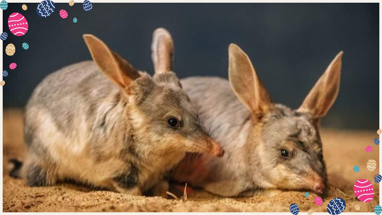 social media rules rnf 1280 x 720 px (4).png