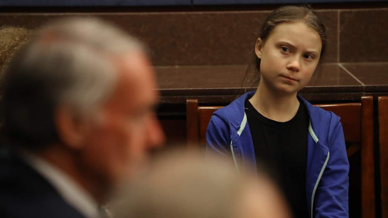 Activist Greta Thunberg Attends Senate Climate Change Task Force Meeting