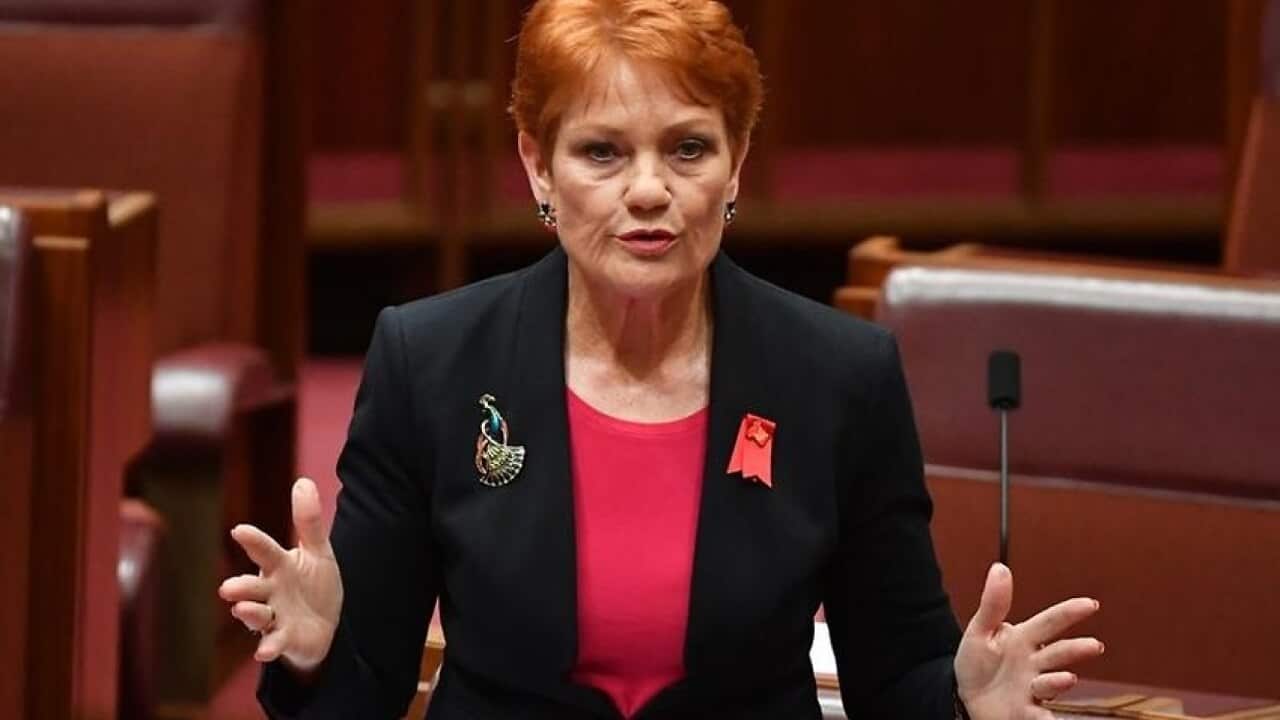 Senator Pauline Hanson, speaking in federal parliament