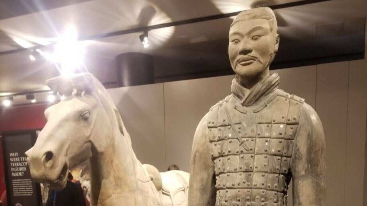A picture of the terracotta cavalryman and horse at The Franklin Institute.
