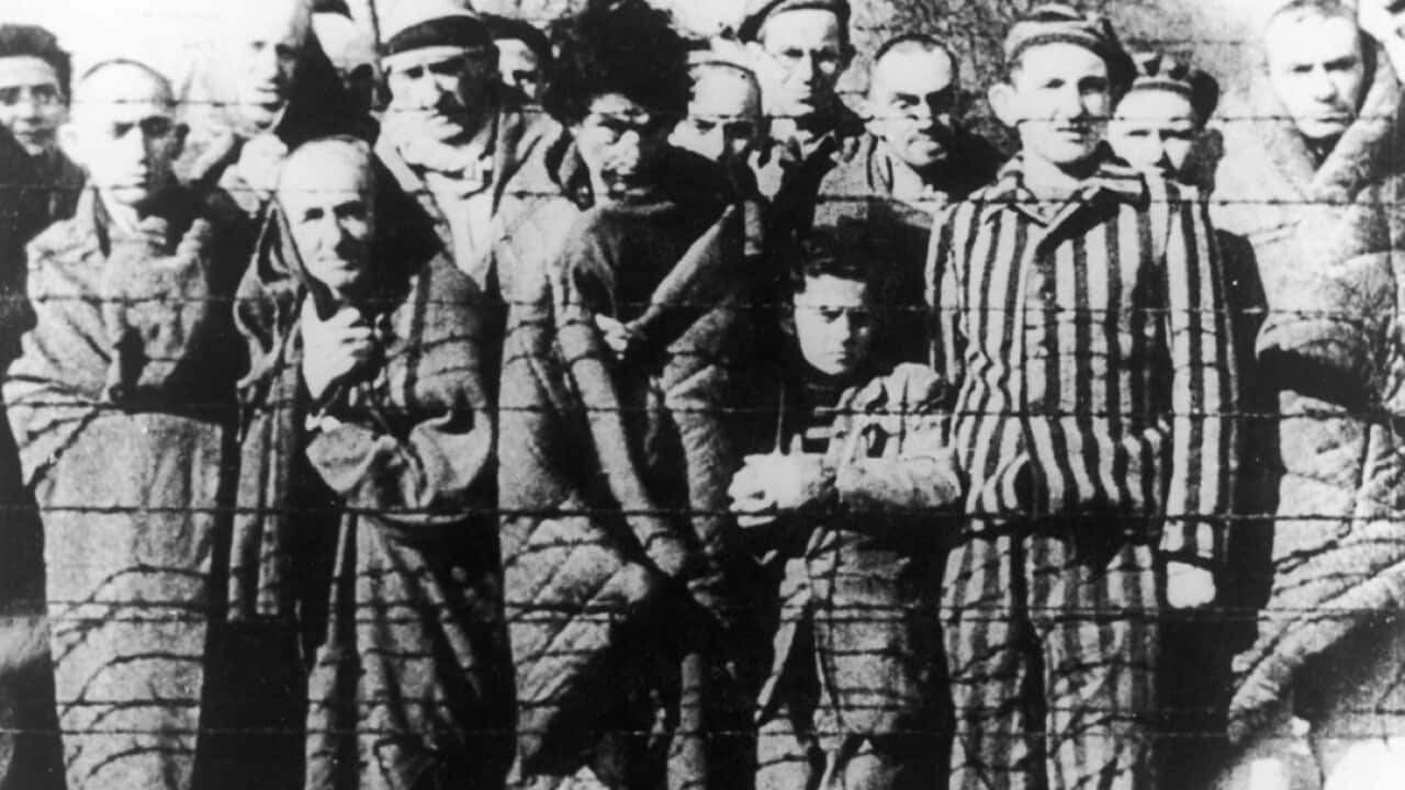 Prisoners of Auschwitz looking through barbed wire after liberation.