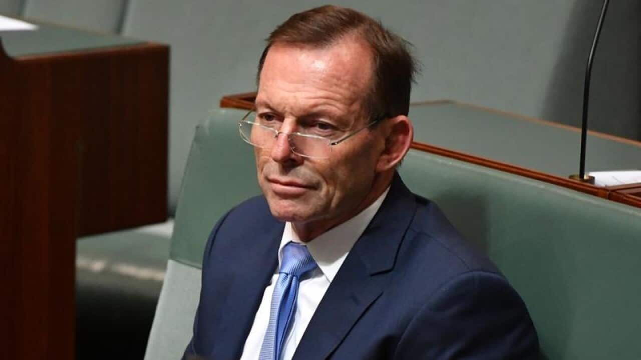 Liberal backbencher Tony Abbott.