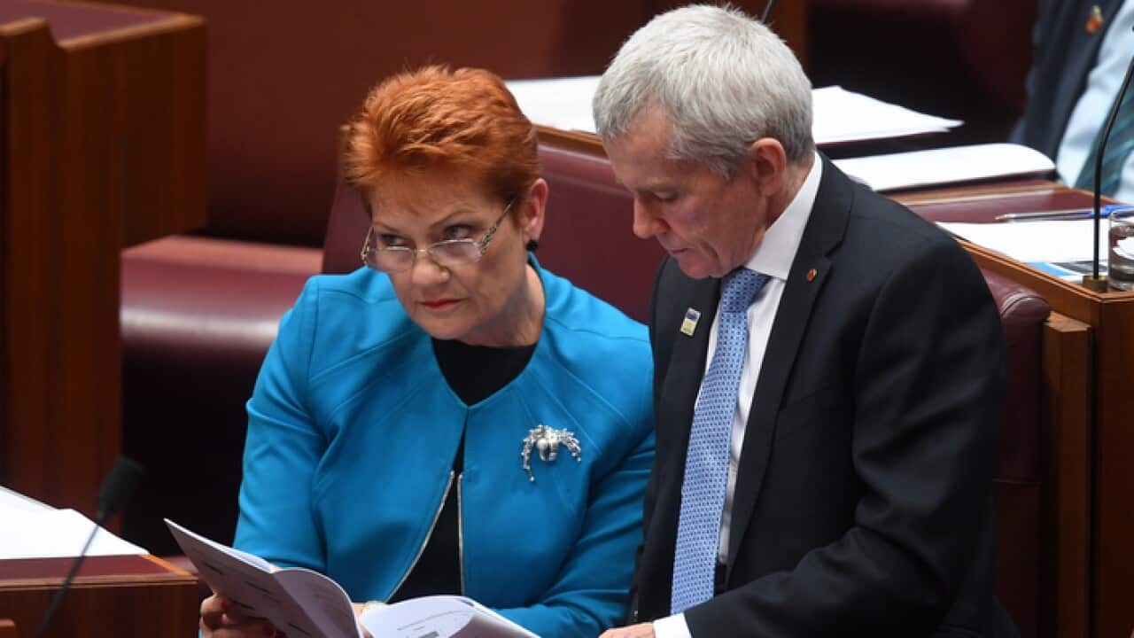 One Nation's Pauline Hanson and Malcolm Roberts were the only senators to vote for their plebiscite motion.