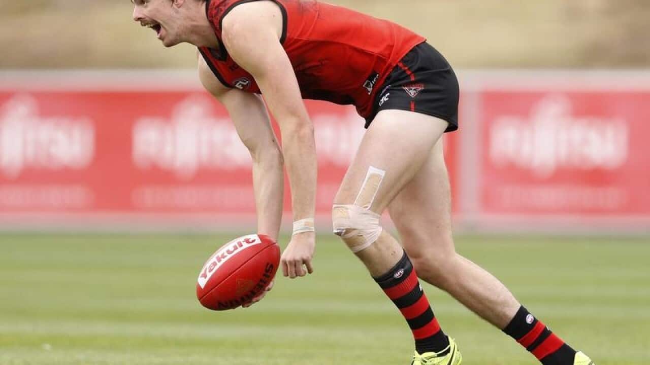 Joe Daniher