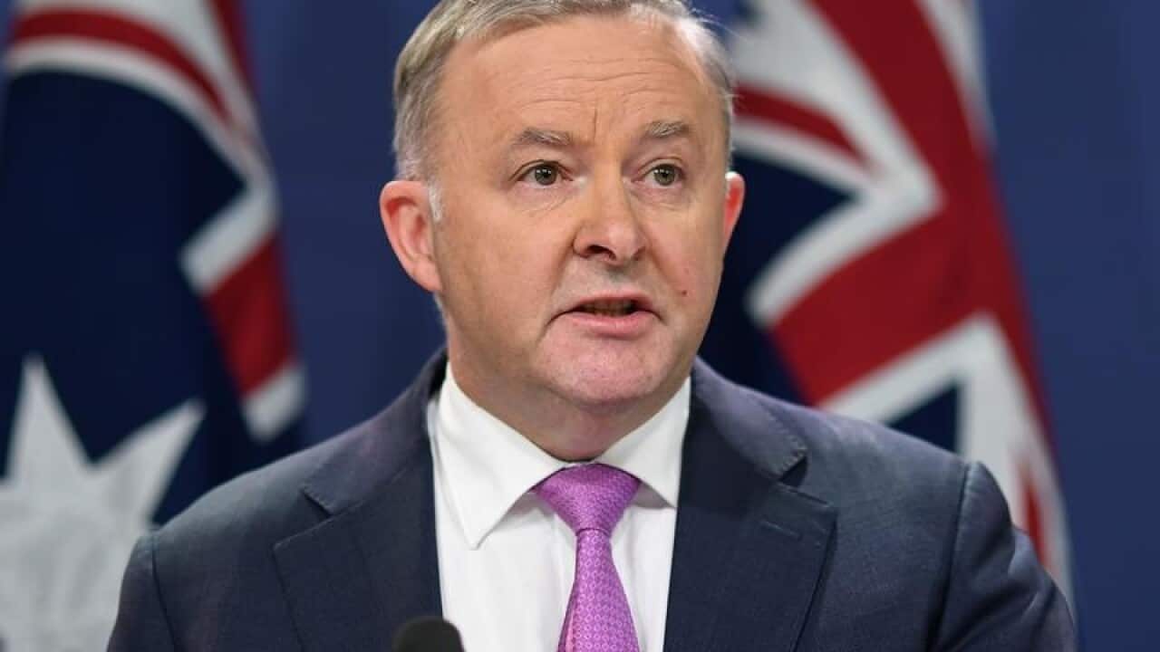 Anthony Albanese Labor