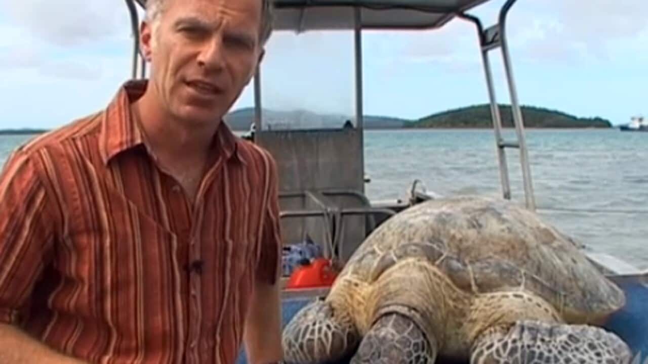 stefan_turtle_L_120622_sbs_1939858012