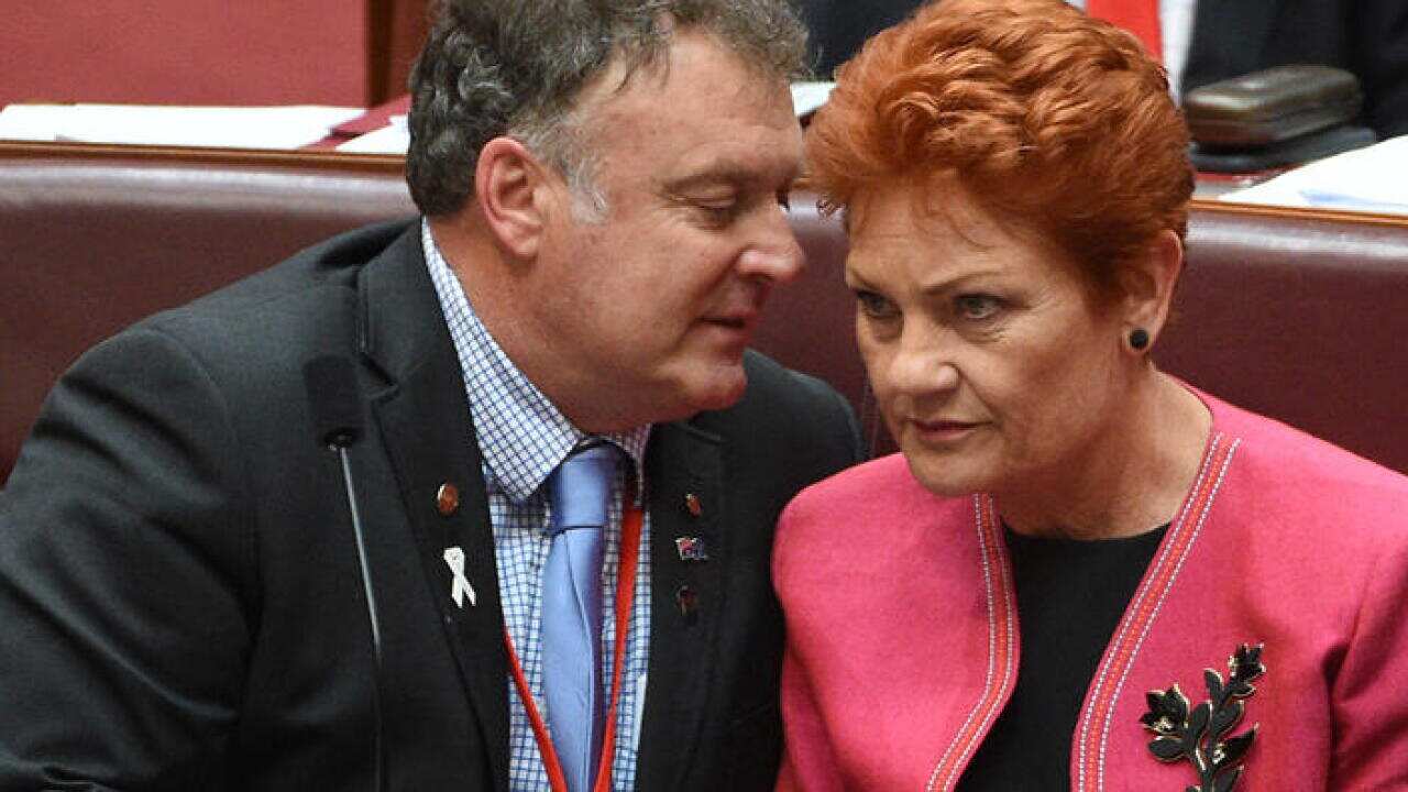 One Nation Senators Rodney Culleton (left) and Pauline Hanson during the Backpacker Tax Bill vote in the Senate chamber at Parliament House in Canberra, Thursday, Nov. 24, 2016. (AAP Image/Mick Tsikas) NO ARCHIVING