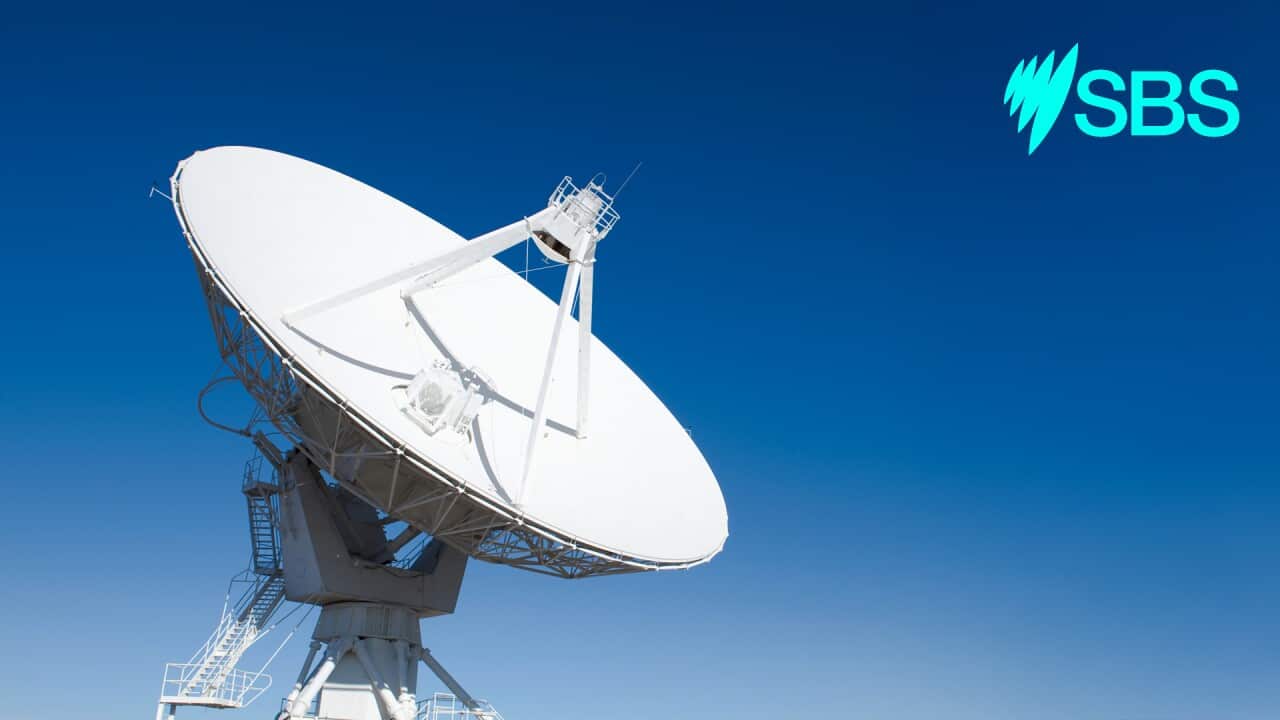 2 SBS Web Banner Newsflash - Dish (RTL).jpg