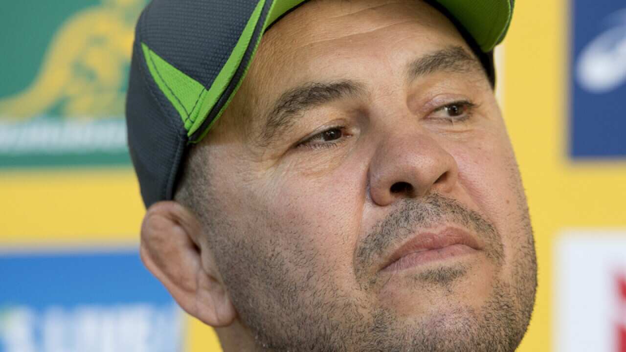 Australian Wallabies coach Michael Cheika