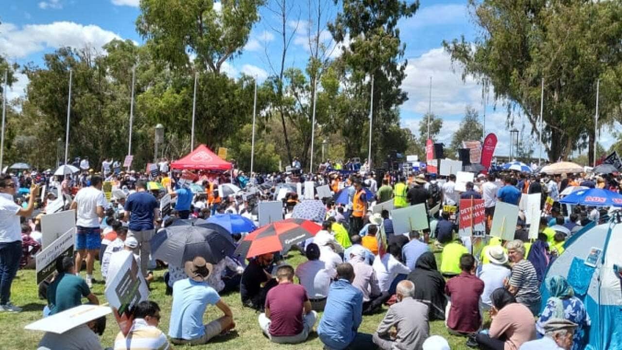 Afghans protesting in Canberra