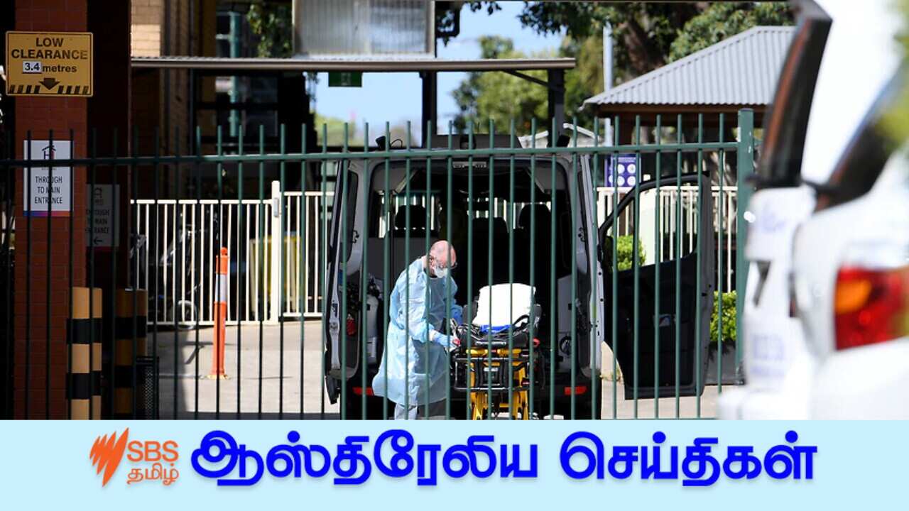 AAP