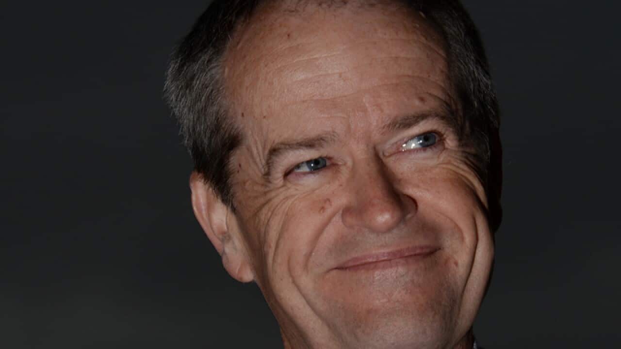 Leader of the Opposition Bill Shorten at a press conference