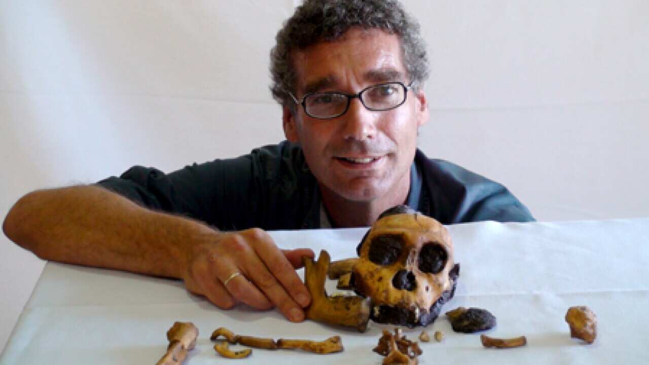 fossil_skeleton_bones_100923_B_aap_1246059614