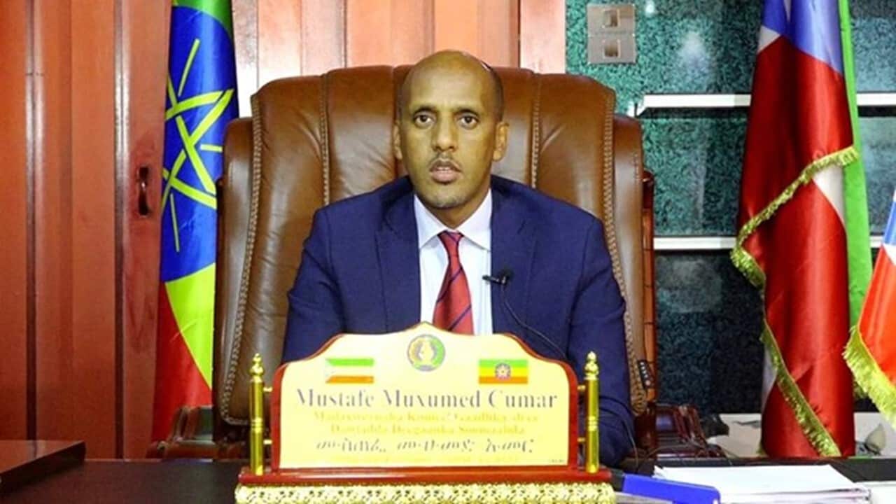 Homeland Report 0204