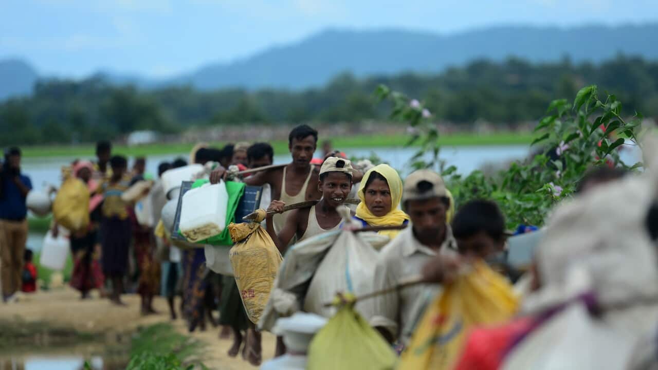 Rohingya refugees