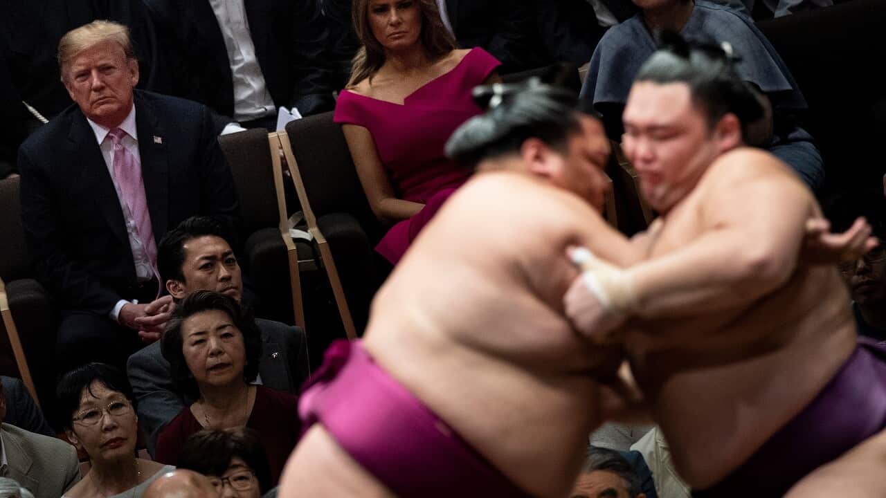 Donald Trump at the sumo match.