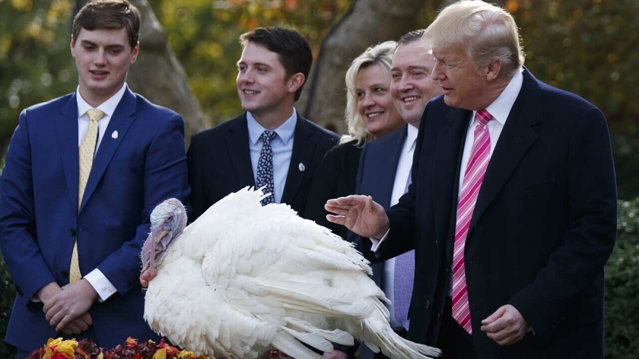 President Donald Trump pardons Drumstick during the National Thanksgiving Turkey Pardoning Ceremony in the Rose Garden of the White House, Tuesday, Nov. 21, 2017, in Washington. (AP Photo/Evan Vucci)
